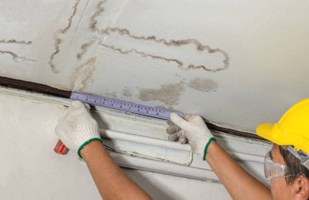 Reliable Burst Pipe Cleanup contractor in Cream Ridge, NJ by Water Damage Irwin